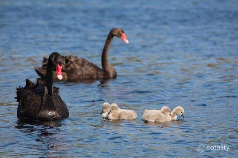 Property photo of 7 Hird Road Success WA 6164