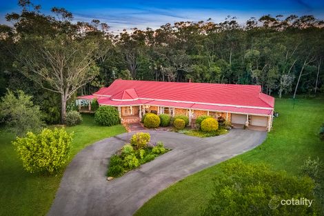 Property photo of 6 Benjamin Close Tumbi Umbi NSW 2261