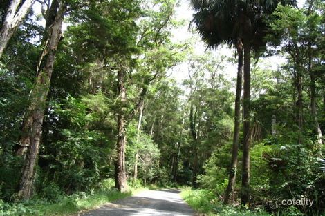 Property photo of 30 Birrerik Road Wamberal NSW 2260