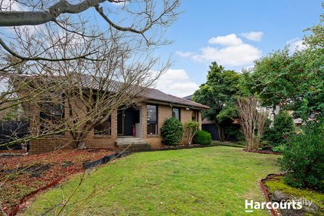 Property photo of 35 Diamond Avenue Glen Waverley VIC 3150