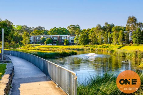 Property photo of 7 Lardelli Drive Ryde NSW 2112