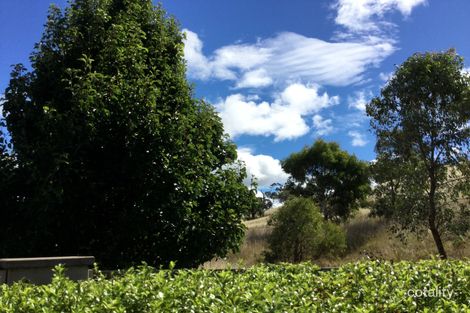 Property photo of 11/21 Thunder Circuit Harrison ACT 2914