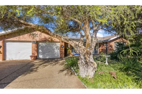Property photo of 56 Jack Avenue Mount Austin NSW 2650