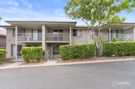 53/30 Carmarthen Cct, Pacific Pines, QLD 4211