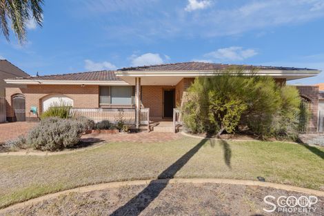 29 Paulik Way, Hamilton Hill, WA 6163