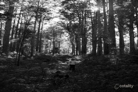 Property photo of 24 Abelia Drive Longley TAS 7150