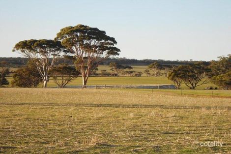 284 Beagley Rd, Nyabing, WA 6341