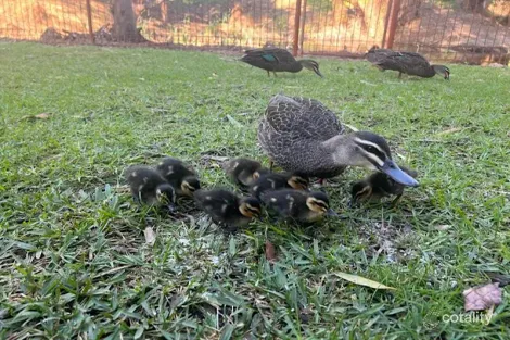 12 Wall St, Maylands, WA 6051