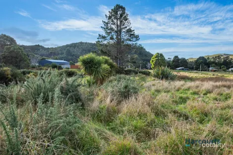Property photo of 55 Tarleton Street Zeehan TAS 7469