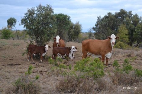 774 Locarno Rd, Dingo, QLD 4702