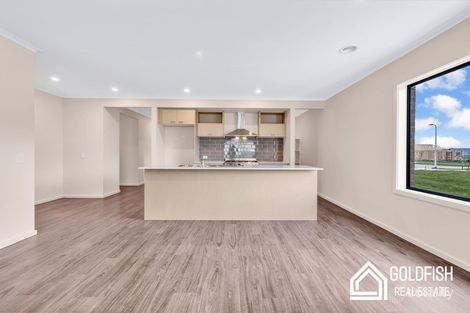 Property photo of 11 Millbrook Road Bonshaw VIC 3352