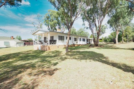 Property photo of 19 Crane Street Warialda NSW 2402