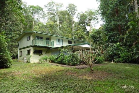 Property photo of 142 Figtree Close Malanda QLD 4885