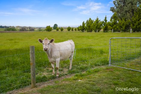 Property photo of 14 Ewing Street Tylden VIC 3444