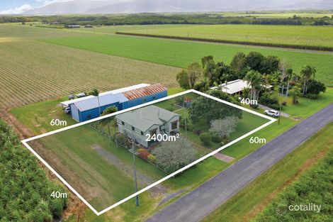 147 Page Rd, Edmonton, QLD 4869