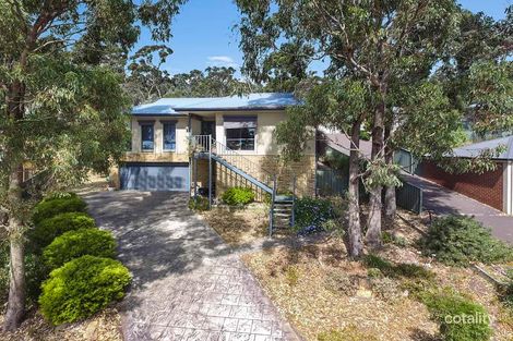7 Derby Gr, Flora Hill, VIC 3550