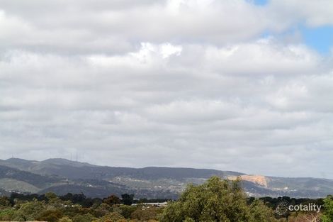 Property photo of 20 Dundee Road Modbury SA 5092