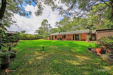 Property photo of 6 Dartmouth Court Birkdale QLD 4159