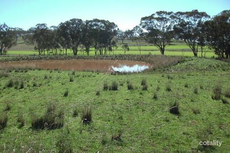 Property photo of 693 Swinging Ridges Road Ardglen NSW 2338