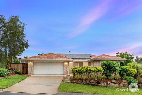 Property photo of 3 Freeman Place Calamvale QLD 4116