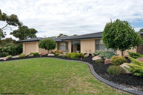 56 Spruce Ave, Warradale, SA 5046