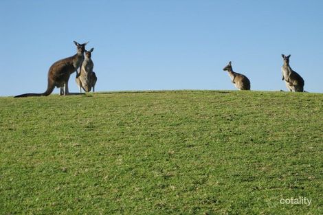 Property photo of 65 Pavilion Circle The Vines WA 6069