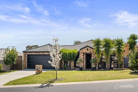 Property photo of 56 Dryandra Way Thurgoona NSW 2640