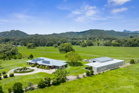 981 Numinbah Rd, Crystal Creek, NSW 2484