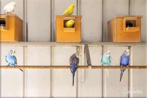 Property photo of 6 Melfort Circle Kinross WA 6028