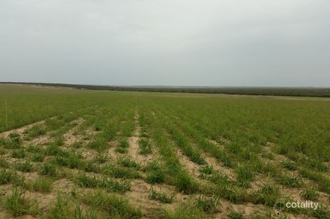 2811 Yerina Spring Rd, West Binnu, WA 6532