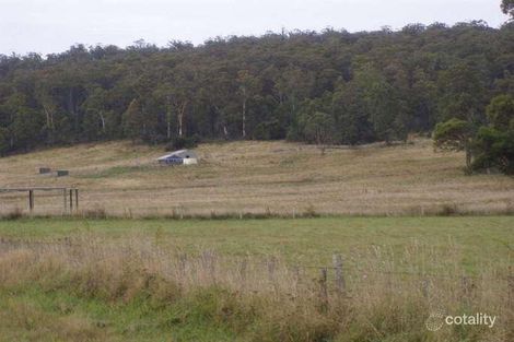 Property photo of 453 Priestleys Lane Birralee TAS 7303