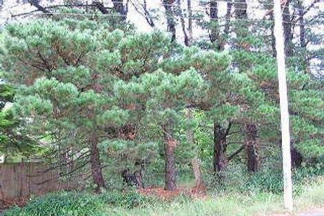 120 Railway Pde, Leura, NSW 2780