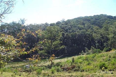 Property photo of 5671 Tweed Valley Way Crabbes Creek NSW 2483