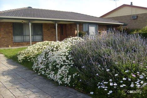 Property photo of 1 Herbert Street Beachport SA 5280
