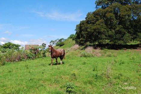 Property photo of 540 Eastern Branch Road Cootharaba QLD 4565