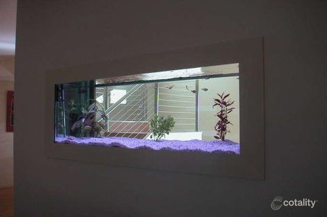 Property photo of 1 Whitewood Place Molendinar QLD 4214