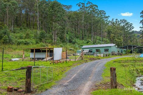 Property photo of 355 Costigans Road Yarras NSW 2446