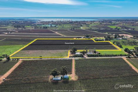 Lot 52 Hoffman Rd, Loveday, SA 5345