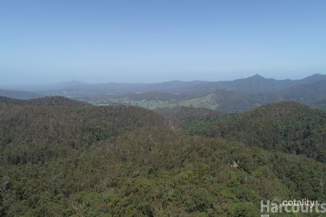 Lot 219 Ponsfords Rd, Comboyne, NSW 2429