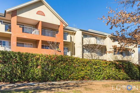 16/17 Helemon St, Braddon, ACT 2612