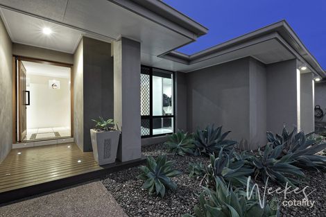 Property photo of 237 Avoca Road Avoca QLD 4670