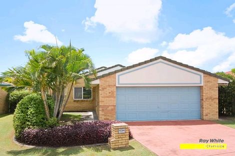 Property photo of 6 Petunia Close Fitzgibbon QLD 4018