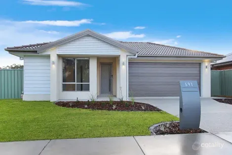 Property photo of 591 Chant Street Lavington NSW 2641