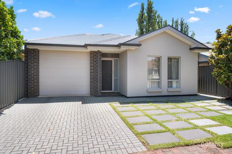 36 Lorraine Ave, Clarence Park, SA 5034