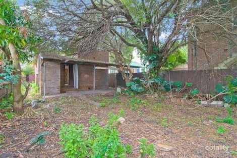 Property photo of 83 Holden Street Ashfield NSW 2131