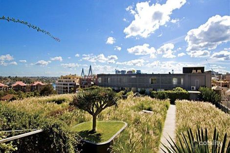 Property photo of 105/380 Harris Street Pyrmont NSW 2009