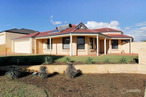 19 Ridglea Link, Clarkson, WA 6030