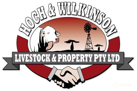 Property photo of 10 East Lane Clermont QLD 4721