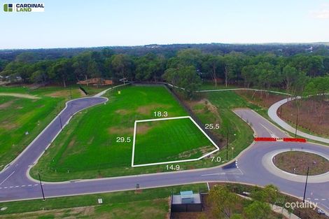 Property photo of 3 Sutton Place Cannon Hill QLD 4170