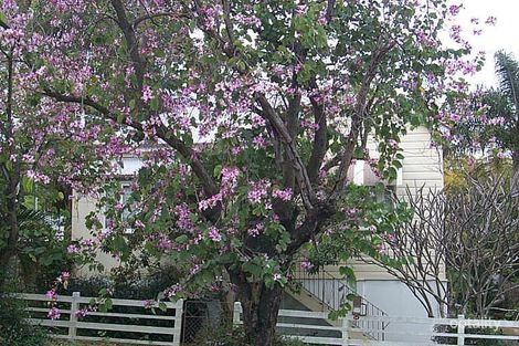 14 Esther St, Tarragindi, QLD 4121